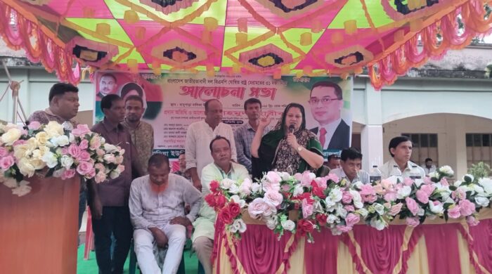 শিলমাড়িয়ায় বিএনপির রাষ্ট্রকাঠামো মেরামতের রূপরেখা বিষয়ক আলোচনা সভা অনুষ্ঠিত