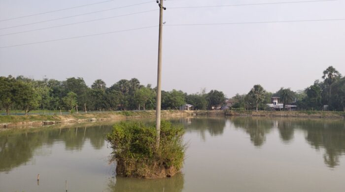 নিয়ামতপুরে পুকুরের মাঝে বিদ্যুতের খুঁটি!