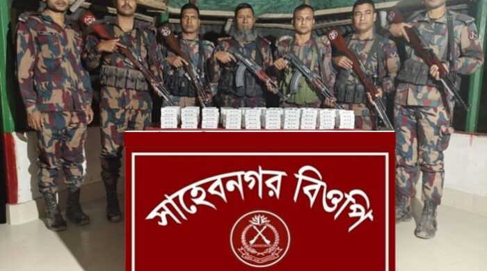 বিজিবির অভিযানে ৭৯২ পিস সাইট্রেট ট্যাবলেট উদ্ধার