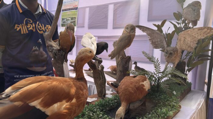 রাবিতে পাখির মেলা, প্রাণহীন দেহে প্রাণের উপস্থিতি