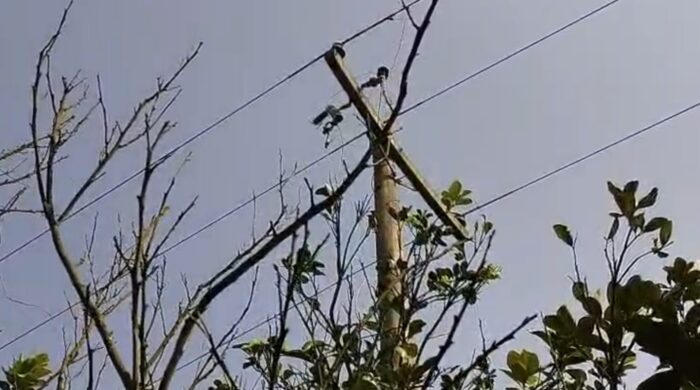 বড়াইগ্রামে খুঁটি থেকে বৈদ্যুতিক ট্রান্সফরমার চুরি