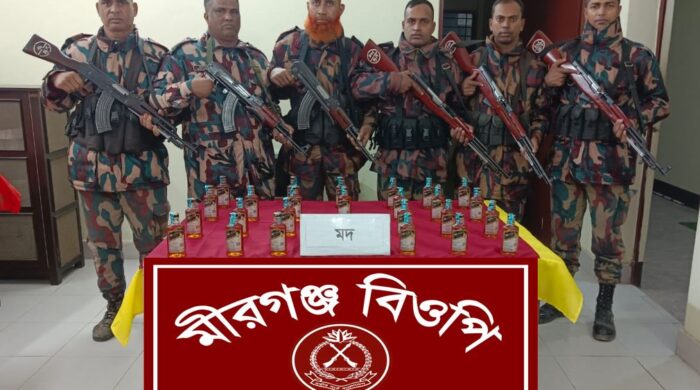 বিজিবির অভিযানে ২৫ বোতল মদ জব্দ