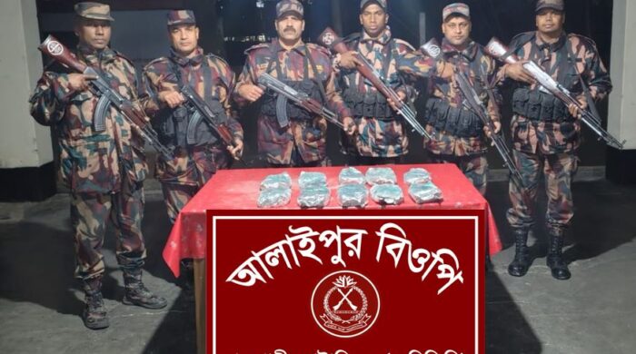 বিজিবির অভিযানে মদ, ফেনসিডিল ও কীটনাশক জব্দ