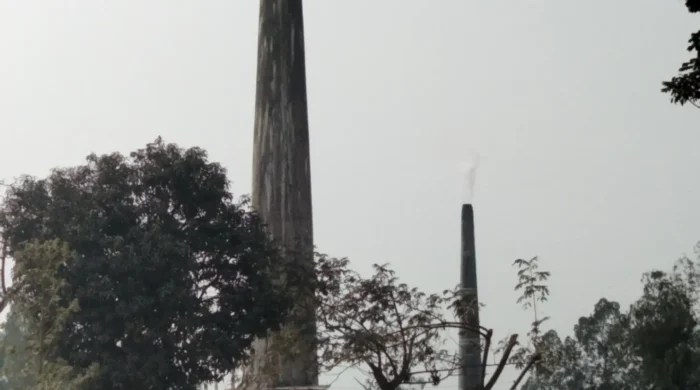 আদমদীঘিতে অনুমোদন ছাড়াই চলছে ইটভাটা