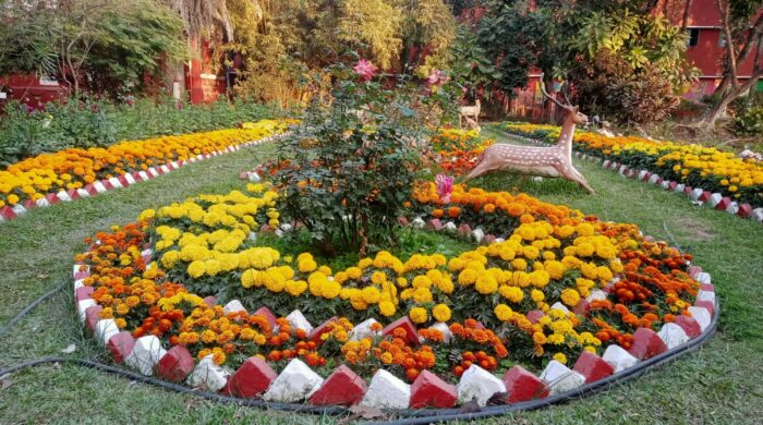 রাজশাহী কলেজ এক ফুলের রাজ্য