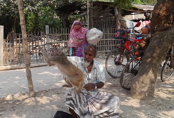 ৪২ বছর ধরে বানর খেলা দেখাচ্ছেন আজিজুর