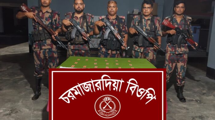 বিজিবির অভিযানে ১৬৪ পিস ট্যাবলেট জব্দ